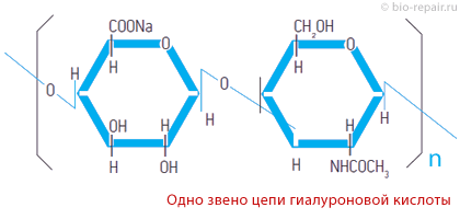 Структура молекулы гиалуроновой кислоты